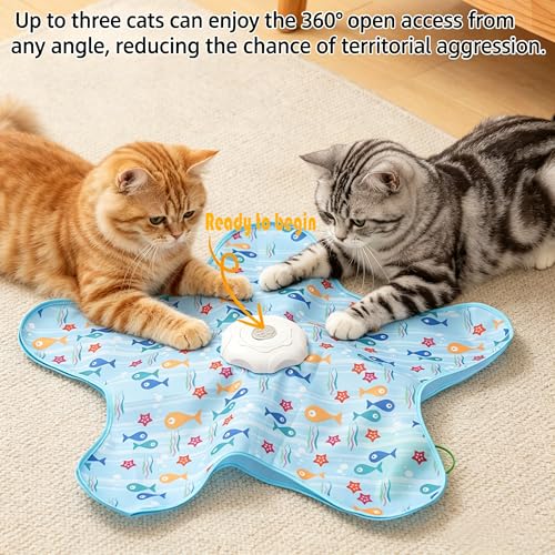 Hide and Seek Interactive Cat Toy, Motion Activated | with Bird Sounds, 5-Hole USB Rechargeable Puzzle Toy for Indoor Cats & Multi-Cat Households