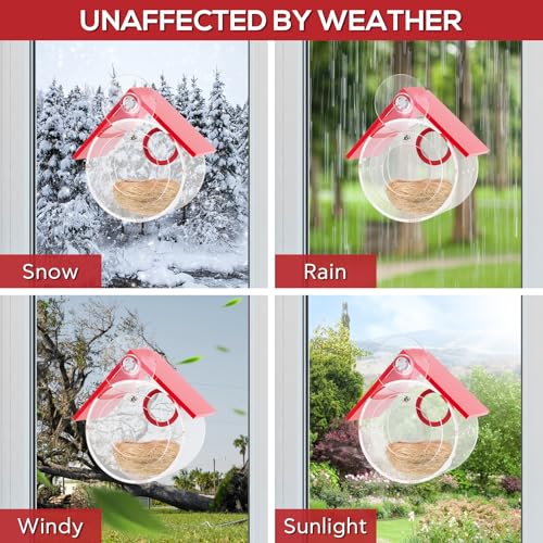 Hummingbird House, Acrylic Transparent Bird Houses Outside, Window Birdhouse for Viewing Inside with Strong Suction Cup, Great for Bluebird Finch Chickadee Nesting