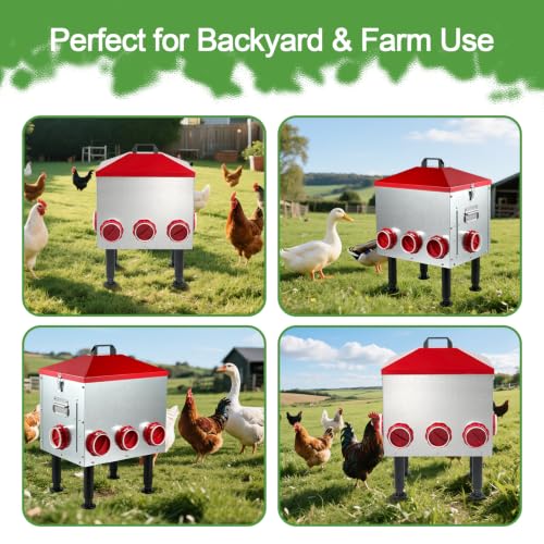 Large Automatic Chicken Feeder, 55LBS Chicken Feed Dispenser with Lid, 8 Feeding Ports, Adjustable Legs, Rodent Free, Waterproof Outdoor Metal Poultry Feeder