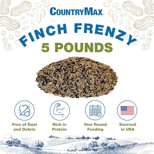 Backyard Seeds Finch & Small Songbird Frenzy 5lbs - Premium Nyjer Thistle Seed Blend for Finch Feeders, Small Bag of Wild Bird Food - size: 5 Pound (Pack of 1), style: Finch Frenzy