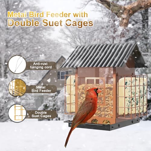 FlowaFoli Bird Feeders for Outdoors Hanging, Metal Bird Feeder with Double Suet Cage Cake, Large Capacity, Birdfeeders Sturdy & Weatherproof, Easy to Clean & Refill, Great for Attracting Wild Birds - color: Brown