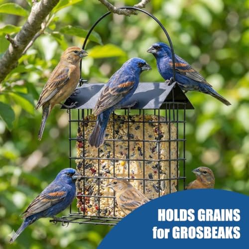 Blue Jay & Crow Peanut Feeder: Suet Cake & Bird Nesting Material Holder | 1 Pcs Outdoor Hanging Bird Feeder Cage with Weatherproof Roof Fits Woodpecker Cardinal Mourning Dove Oriole & Blue Grosbeak - color: 1pcs black