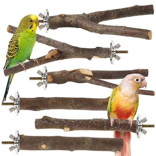 6 Pack Natural Wood Bird Perches for Cage, Wooden Parrot Perch | Wood Bird Stand Toy, Hardwood Branches, Climbing & Chew Toy for Bird Cage Accessories, Ideal for Parakeets Budgies Cockatiels - size: Medium Size-6 Pack