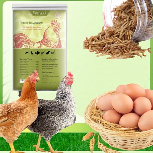 SANSECT 20LB Dried Mealworms for Chickens, Ducks, Wild Birds, Reptile Food | High Protein Treats, 100% Natural, Non-GMO Mealworms for Chickens, Ducks, Turtles and Reptiles and Laying Hens - size: 10 Pound (Pack of 2)