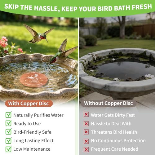 3-Pack 99.9% Pure Copper Bird Bath Purification Disk, 0.6mm Bird Bath Copper Disk with Triple-Point Support, All-Season Copper Plate Copper Disc for Outdoor Bird Bath, Bowl - color: Bird Bath Copper Disk - 3 PACK