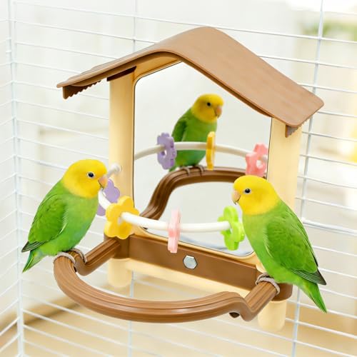 Bird Mirror for Cage, Acrylic Mirror with Plastic Perch and Chew Toys, Parakeet Cage Accessories, Bird Toys for Budgies, Cockatiels, Lovebirds, Green Cheeks, Small to Medium Birds