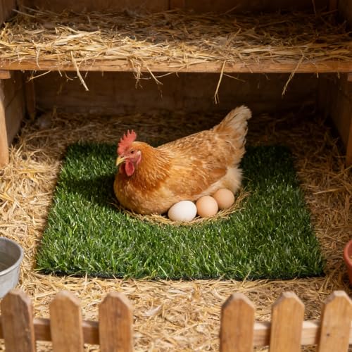 DECHOUS 6 Pack Chicken Nesting Box Pads Washable Reusable Artificial Grass Egg Laying Mats 11.81 X 11.81 X 0.98 in Nest Mats for Chicken Coops Poultry Nesting Bedding Liners