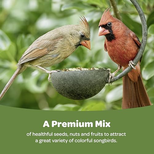 Kaytee Ultimate Nut & Fruit Food, Wild Bird Seed for Outside Feeders, Grosbeaks, Cardinals, Nuthatches, Woodpeckers & More, 9.75 Pounds - size: 9.75 Pound (Pack of 1), style: Nut & Fruit