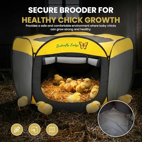 Chick Brooder Box and Heating Plate Starter Kit – Large Indoor Brooder Pen with 75W Adjustable Heat Plate, Feeder, Waterer & Cleaner – Complete All-in-One Chick Coop for 10-15 Chicks