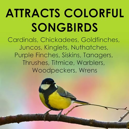 Heath Outdoor Products DD-25 Hot Pepper Suet Cake, Natural Blend Squirrel Repelling Capsaicin and All-Season Colorful Songbirds Attractant, 11.25-Ounce, 12 Pack