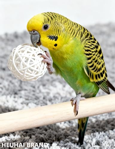 12 Pack Colorful Bell Balls Bird Toys for Parakeets | Parrots, Small and Medium Birds, 1.6 in - 2.8 in - size: 1.6'' - 2.8''
