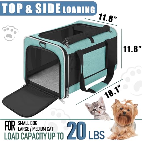 GAPZER Large Cat Carrier Soft, Collapsible Travel Pet Carry Bag, Small Dogs | Big Kitten Cat 20lbs Mainecoon, Top Open Travel Shih-Tzu Pet Kennel, Yorkie Small Dog 10 Pounds, 18x12x12, Durable Cloth Teal - color: Turquoise