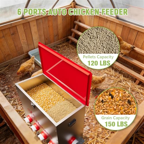150LB Automatic Chicken Feeder, No-Waste Metal Poultry Feeder with 6 Ports, Predator-Proof Latch & Weatherproof Design, Includes Anti-Tip Ground Stakes & Vegetable Hanging Feeder - size: 150LB-6 Ports