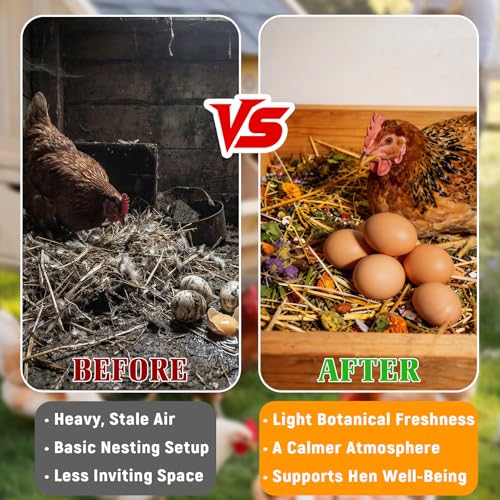 PJT Premium Chicken Nesting Herbs - 12oz Pre-Mixed Blend of 7 Dried Botanicals for Nesting Boxes, Coop & Chicken Dust Bath, Natural Herbal Refresher, Supports Natural Egg Laying - size: 12 Ounce (Pack of 1)