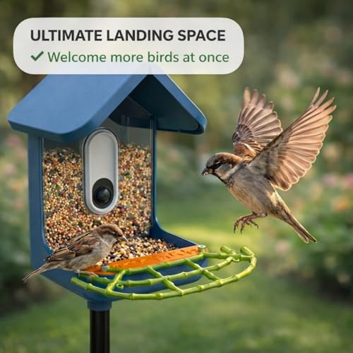 Bird Feeder Perch Extender Compatible with Bird Buddy, Bamboo-Style ABS | 9.21 x 4.33 x 0.43 in, two-screw mounting, dual side ports, wider landing area, improved full-body camera framing - color: Lime Green