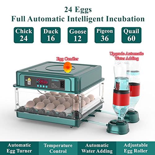 Egg Automatic Incubator | 24-60 Eggs, Intelligent Incubators for Hatching Eggs, Poultry Hatching Machine, For Chicken Duck Goose Quail Bird Pigeon