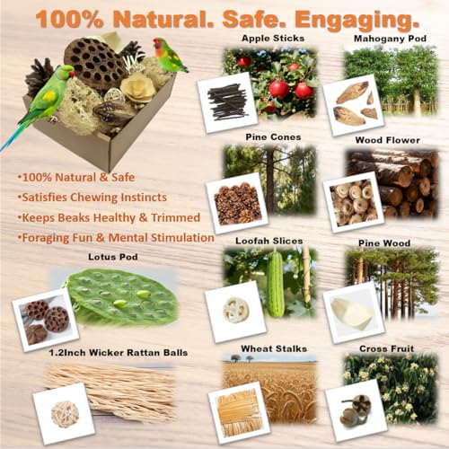Bird Toys - Lotus Pod Foraging Box, 10 Natural Ingredients | Chewing and Shredding Parrot Toys | Ideal for Parakeets/Cockatiels/Conures/Lovebirds and Small to Medium Birds - size: Lotus Pod Foraging Box
