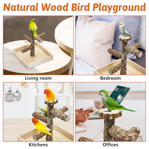 BNOSDM Portable Bird Perch Stand with Potty Tray, Natural Wood Tabletop Training Gym Parrot Playground Toy for Budgies, Cockatiels, Lovebirds,Conures Canaries - color: Five Levels Bird Stand