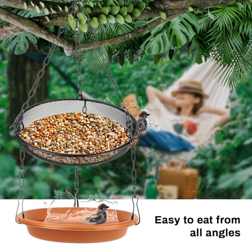 RAINFLOW Hanging Bird Bath Feeder - 2 in 1 Outdoor Water Tray for Backyard | Platform Bird Feeder for Outside Garden Patio, Attracts Wild Birds, Spring Summer Decor, Bird Lover Gift, Easy Hanging Set