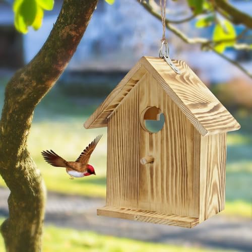 GUTE Bird House Window Mount Clear Viewing Acrylic Wall Shelter | Transparent Viewing,Slide-Out Cleaning Panel,Weatherproof Construction,Easy Wall/Tree Mount,For Bluebirds/Wrens/Chickadees
