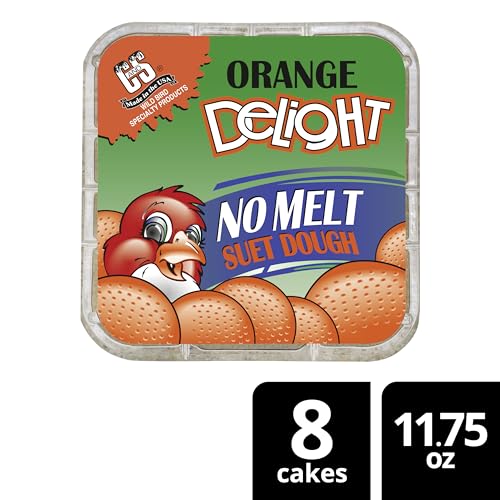 C&S Orange Delight No Melt Suet Dough, Suet Cakes for Wild Birds Including Robins, Blue Jays, Bluebirds, Tanagers, Thrushes and More, 8 Pack - size: 1.47 Ounce (Pack of 8), style: Orange, 8 Pack