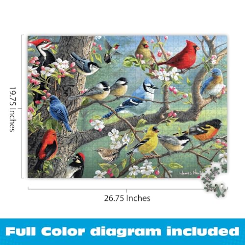 Buffalo Games Hautman Brothers Birds, 1000 Piece Jigsaw Puzzles for Adults | Poster Included for Adults, Less Guesswork, Precision-Cut Pieces, Snap Fit, Less Puzzle Dust, Made in USA