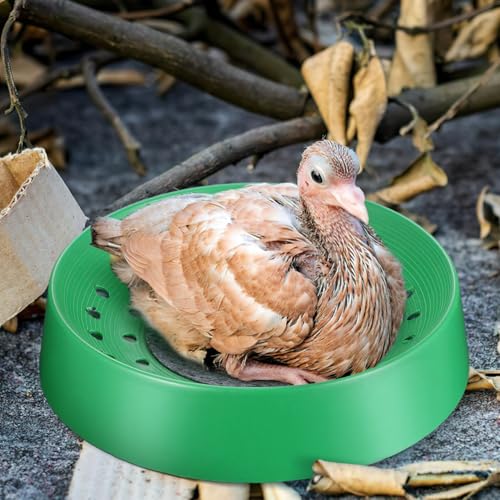 Balacoo 10 Pcs Pigeon Nest Bowls, Durable Plastic Dove Nesting Box with Pad | Breathable Washable Quail Nest, Bird Egg Rest Beds for Doves, Pigeon, Quails & Small Birds - Bird Cage Supplies (Green)