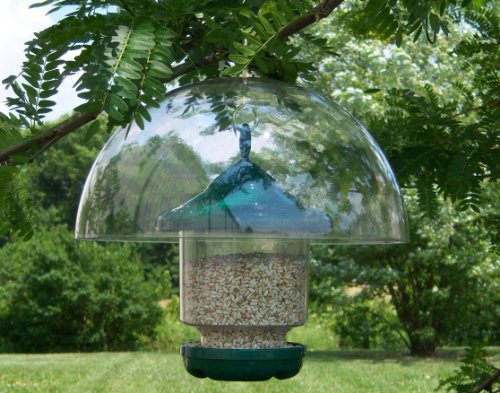 12 Inch Clear Hanging Dome Baffle, Squirrel Guard for Bird Feeders | 12 Inch Dome; Clear Baffle; Squirrel Guard; Weather Shield - color: Clear