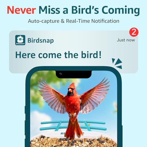 birdsnap® TUC Bird Feeder with Camera Solar Powered 2K Video with 32GB Card | AI Bird Species Identification, Squirrel-Proof, IP65 Waterproof, Outdoor Wireless, 2.4G WiFi, Gift for Mom Dad Bird Lovers - color: Blue