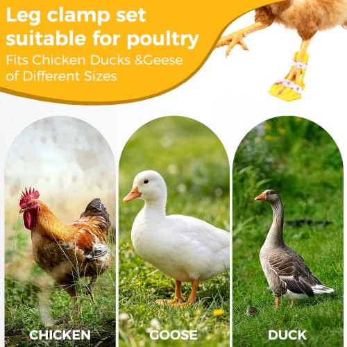 8PCS Poultry Leg Splint & Hobble Bands – Reusable Chick Leg Support Sleeves for Splayed/Curled Toes – Washable Farm Husbandry Leg Protection Ties for Chicken Duck Goose (4-Size Set)