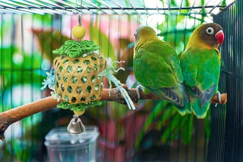 Bird Toys for Conures Parakeet, Birds Cage Accessories, Bird Shredding Foraging Toys for Cage - color: BellBall