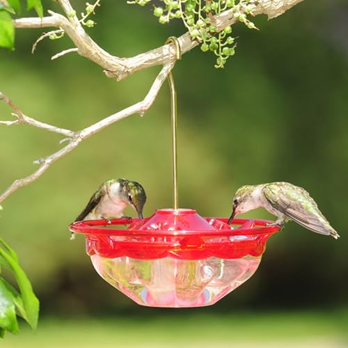 Aspects Mini HummBlossom Hummingbird Feeder, 4 oz, Rose (2-Pack)