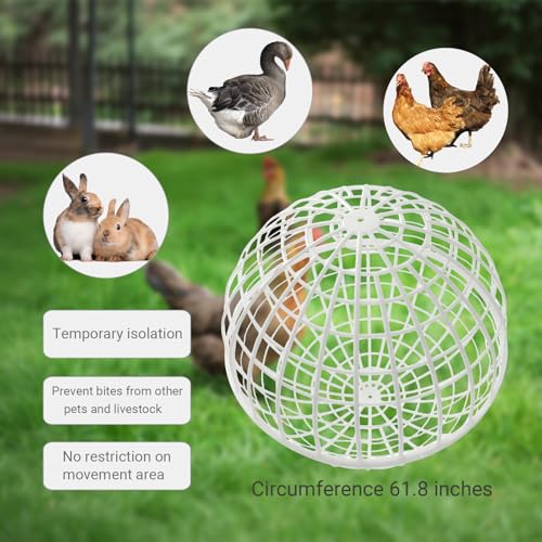 3 PCS 19.6" Movable Ball-Shaped Animals & Poultry Cages,Pet Safe Walking Net, Farm Courtyard Outdoor Accessible Rolling Rabbit Duck Hutch Chicken Coop,Preventing Dog Bites Trampled by Horse - color: White(3 PCS)