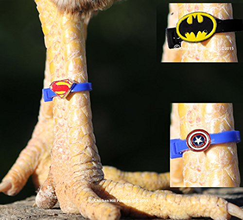 20 Chicken Charm Poultry Leg Bands - Includes Americas Favorite Super Hero's