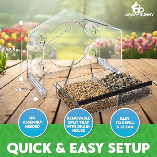 Gray Bunny Window Bird Feeder House – Suction Cup Mount Feeder | Suction cup bird feeder, birdhouse window, suction bird house, strong suction cups, easy to clean - style: Large House