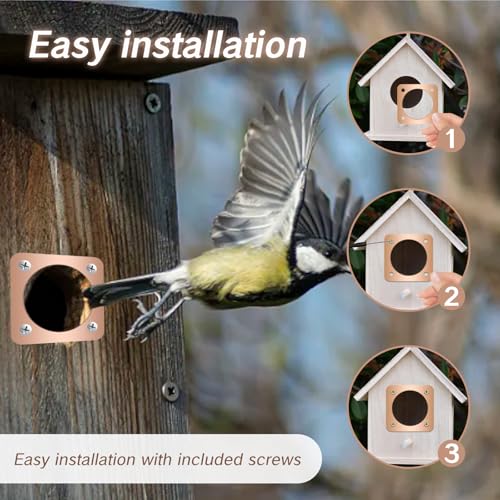 4 Pieces Birdhouse Predator Guard Copper Portal Metal Protector for Eastern Bluebird Houses 1 1/2 Inch Hole Guardian Baffle Mounting for Wren and Snake Defense(Rose Gold)