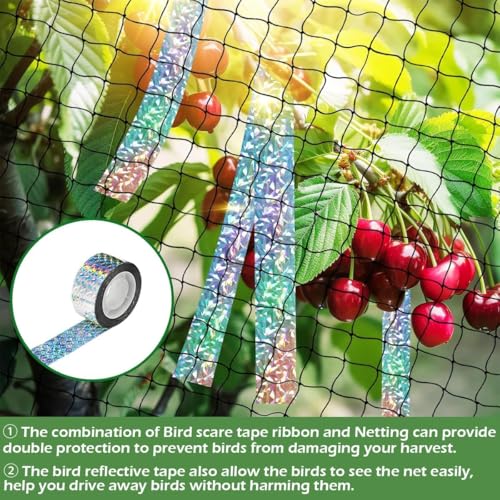 Poultry Netting 25x25 ft, 1" Square Mesh Heavy Duty Chicken Run Net, Garden Netting to Protect Plants, Fruit Trees, Vegetables from Birds, Deer, Pests & Animals for Farm, Orchard, Coop - size: 1 inch mesh - 25 x 25 ft
