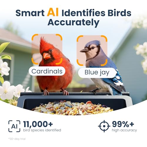 Smart Metal Bird Feeder with Camera, Deep Blue | Squirrel Proof, 2.5K UHD AI Identification, Wireless Solar Powered, Real-time Videos & IMG, Outdoor for Garden Birding, Gift - color: Blue