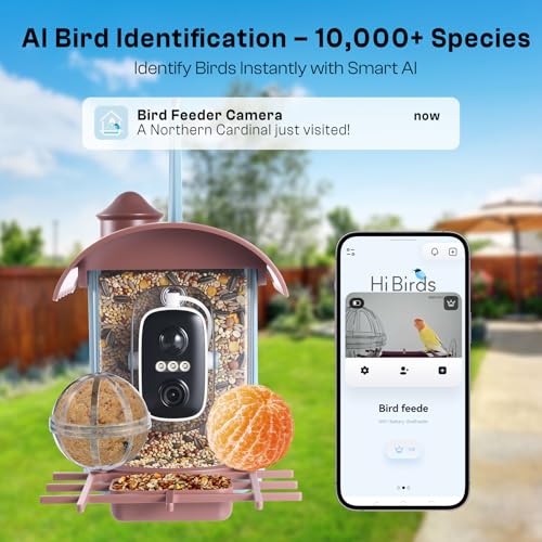Smart Bird Feeder with Camera - AI Identify 10000+ Bird Species, Solar Powered Bird House with 1080P Color Night Vision, Auto Capture Bird Videos, Wireless Outdoor Camera, Ideal Gift for Nature Lover