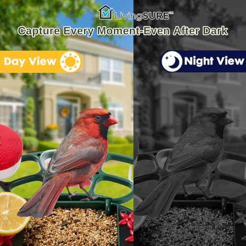 2-in-1 Smart Bird Feeder with Camera Outdoor Solar Powered Smart | Birdfeeder Live Stream Video Camera with AI Recognition for Outside Wild Birds Garden Decor - Bird Lover Gifts by LivingSURE
