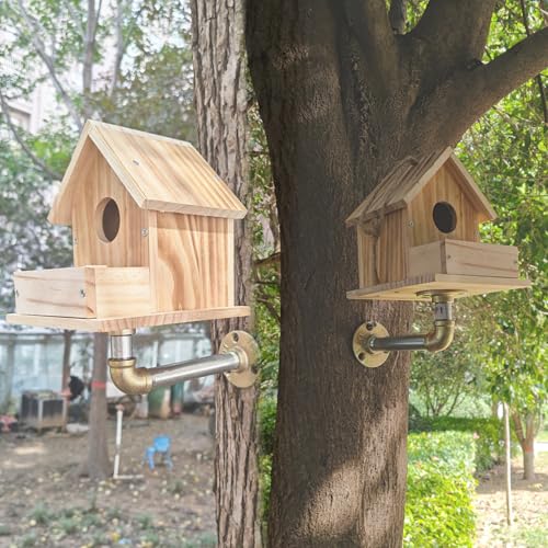Bird House Bracket, Heavy-Duty Outdoor Windproof Anti-Swing Fall-Proof Holder for Bird Houses, Nesting Boxes, Feeders, Mountable on Tree Trunks, Eaves, Walls, Attractive Scenic Design (Patented) - size: 1pc