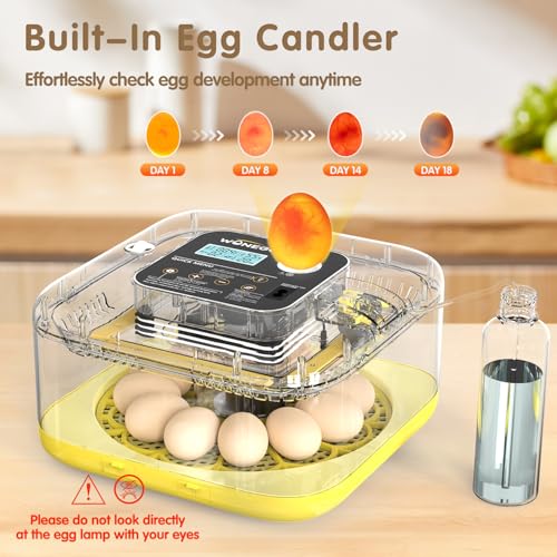 HOWOOlUA 12 Egg Incubator for Hatching Eggs with Auto Turn, Temp & Humidity Control, Built-in Candler Large Capacity Egg Incubator for Chicken Duck Goose Eggs (Yellow)