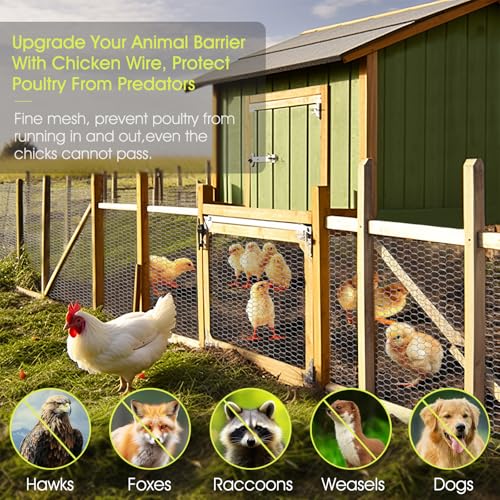Chicken Wire Fencing, 16.5 Inch x 60 Ft Chicken Wire Mesh for Garden Plants | 24 Rifny 1 Inch Mesh, Hexagonal Galvanized Metal Poultry Wire Netting Roll, for Chicken Coop Rabbit Dogs Barrier - size: 16.5 x 720 Inches-1 Inch Mesh