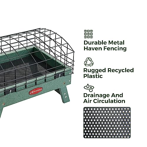 Kingsyard Squirrel Proof Caged Platform Bird Feeder for Small Birds | Recycled Poly Lumber, Protective Metal Cage, Raised Platform, Drainage Mesh Tray, Foldable Legs for Outdoor Bird Feeding - color: Green