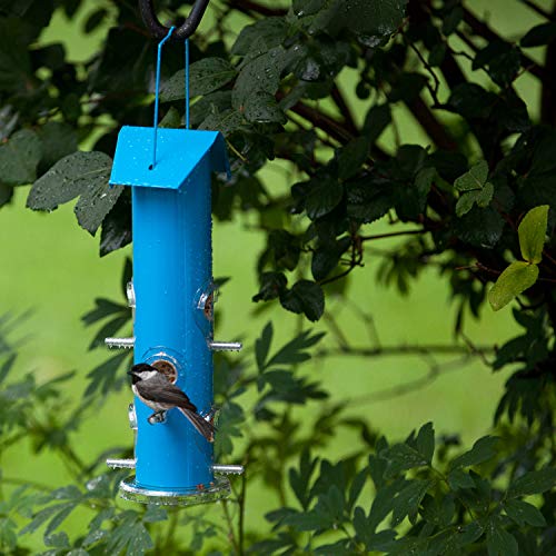 Perky-Pet Blue Metal Tube Wild Bird Feeder - 1 lb Capacity for Wild Bird Seed - Durable Construction - 391