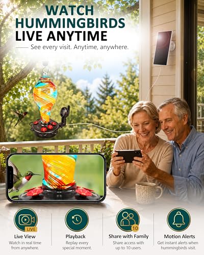 LUJII Smart Hummingbird Feeder with Camera for Outdoor Hanging, Hand Blown Glass, Solar WiFi Feeder with Live View App, 6 Feeding Ports, Leak-Resistant Design, Ant Moat & Gift Box, 36 fl oz, Ribbon - color: Ribbon, size: X-Large