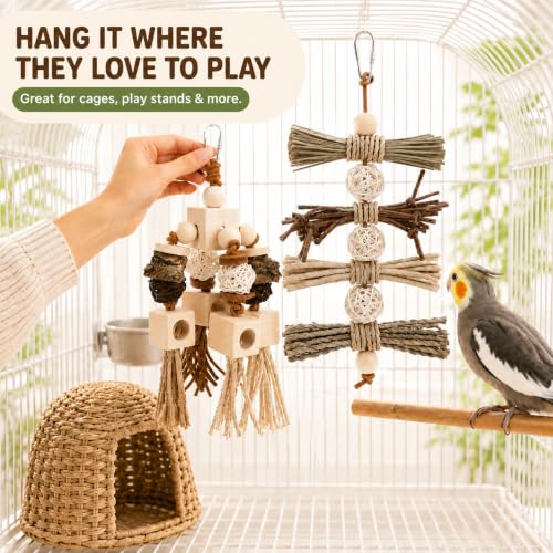 2Pcs Natural Bird Toys for Parrots, Parakeet & Cockatiel - Foraging Cage Toy with Wood, Cork Bark, Raffia - Shredding Chewing Gear Conures, Budgies, Lovebirds - Safe Stainless Link