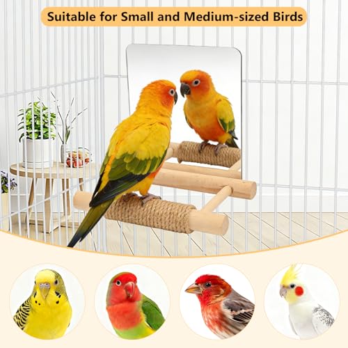 Litewoo 6.7" Bird Mirror for Cage Wooden Hanging Parrot Perch Swing Toy | Acrylic mirror with wooden stand, hemp rope for foot care, reduces bird loneliness, for parakeet/budgie/cockatiel/lovebird