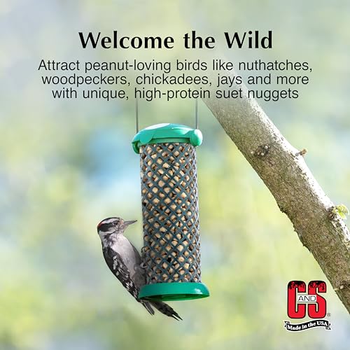 C&S Wild Bird Peanut Suet Nuggets Mega Box, 8 Pounds - size: 8 Pound (Pack of 1)