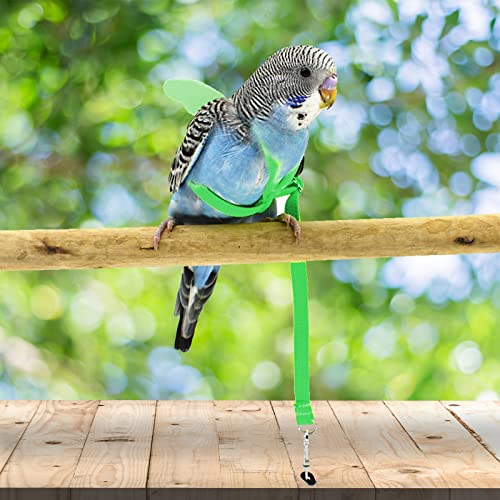 Dnoifne Pet Parrot Bird Harness and Leash, Adjustable Training Design Anti-Bite, Bird Nylon Rope with Cute Wing for Parrots, Suitable for Scarlet, Keck, Mini Macaw and Same Size Birds (Green) - color: green